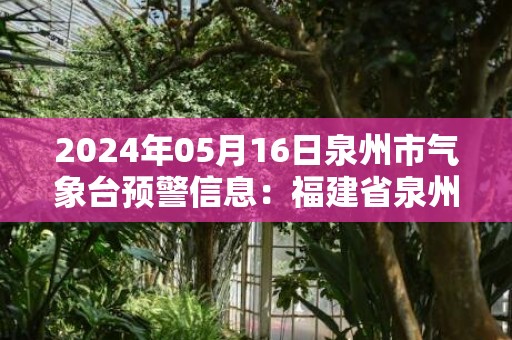 2024年05月16日泉州市气象台预警信息：福建省泉州市发布大风黄色预警