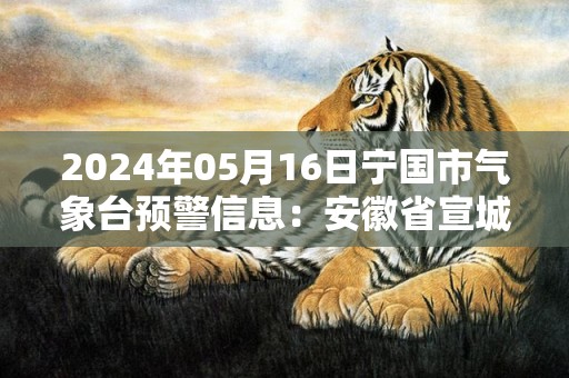 2024年05月16日宁国市气象台预警信息：安徽省宣城市宁国市发布大雾橙色预警