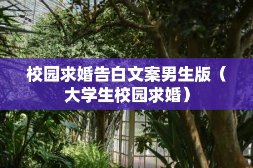 校园求婚告白文案男生版（大学生校园求婚）
