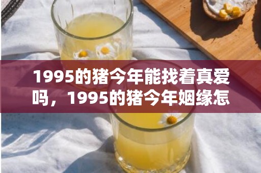 1995的猪今年能找着真爱吗，1995的猪今年姻缘怎样