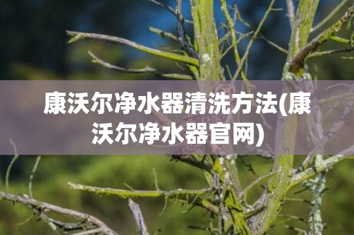 康沃尔净水器清洗方法(康沃尔净水器官网)