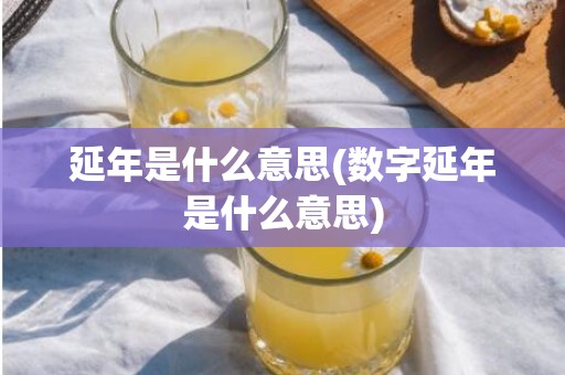 延年是什么意思(数字延年是什么意思)