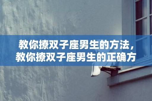 教你撩双子座男生的方法，教你撩双子座男生的正确方法,如何追双子座男生