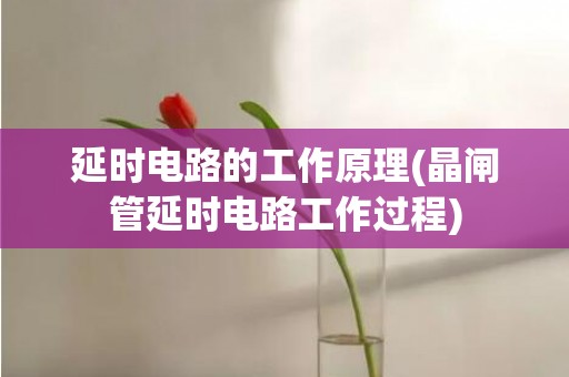延时电路的工作原理(晶闸管延时电路工作过程)