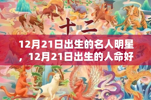 12月21日出生的名人明星，12月21日出生的人命好吗
