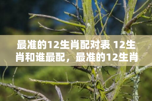 最准的12生肖配对表 12生肖和谁最配，最准的12生肖配对表男女