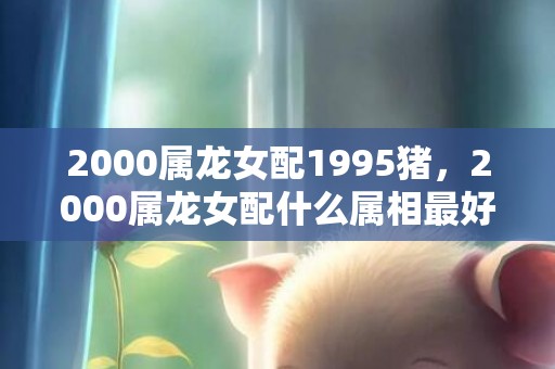 2000属龙女配1995猪，2000属龙女配什么属相最好