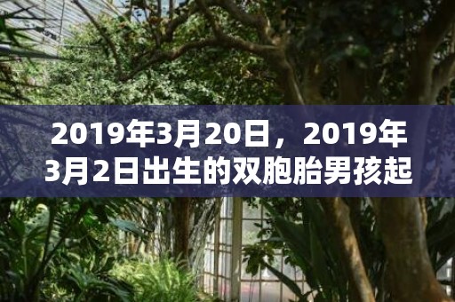 2019年3月20日，2019年3月2日出生的双胞胎男孩起什么名字好听，宜用什么字