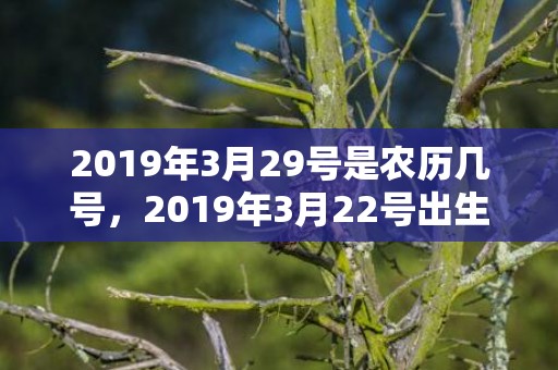 2019年3月29号是农历几号，2019年3月22号出生的男宝宝五行缺木要如何起名字