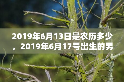 2019年6月13日是农历多少，2019年6月17号出生的男宝宝五行缺水要如何起名字