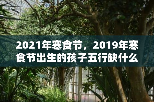 2021年寒食节，2019年寒食节出生的孩子五行缺什么？寒食节出生好听的名字推荐