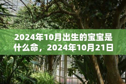 2024年10月出生的宝宝是什么命，2024年10月21日出生的女孩的命好不好