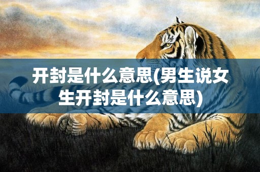 开封是什么意思(男生说女生开封是什么意思)