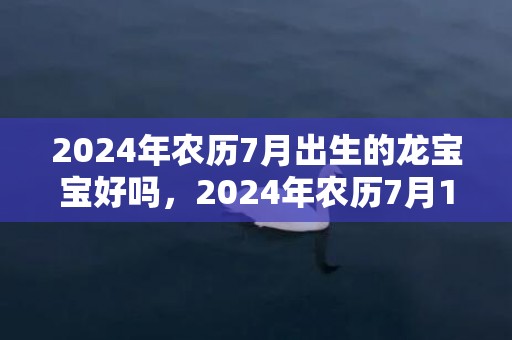 2024年农历7月出生的龙宝宝好吗，2024年农历7月19日黄历