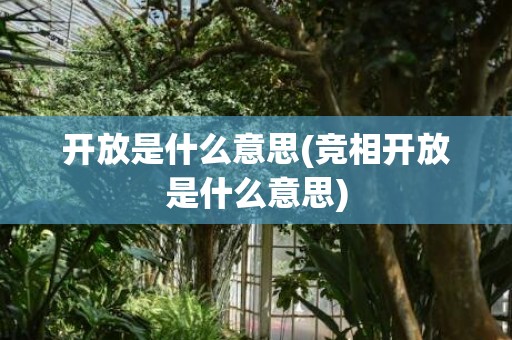 开放是什么意思(竞相开放是什么意思)