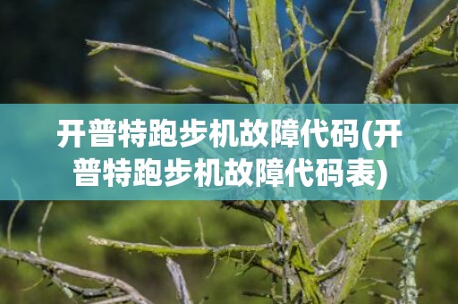 开普特跑步机故障代码(开普特跑步机故障代码表)
