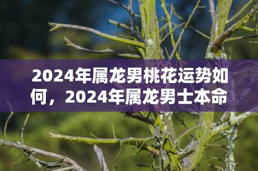 2024年属龙男桃花运势如何，2024年属龙男士本命年运势如何