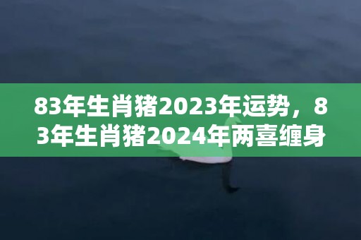 83年生肖猪2023年运势，83年生肖猪2024年两喜缠身