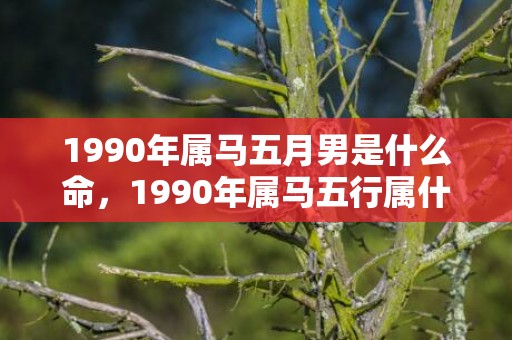 1990年属马五月男是什么命，1990年属马五行属什么