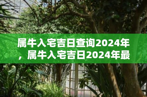 属牛入宅吉日查询2024年，属牛入宅吉日2024年最佳时间