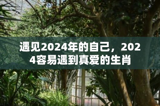 遇见2024年的自己，2024容易遇到真爱的生肖