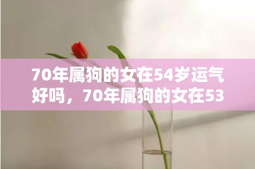 70年属狗的女在54岁运气好吗，70年属狗的女在53岁运气好吗