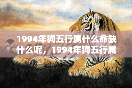 1994年狗五行属什么命缺什么呢，1994年狗五行属什么命
