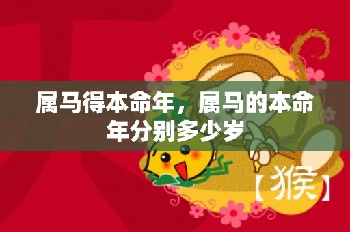 属马得本命年，属马的本命年分别多少岁