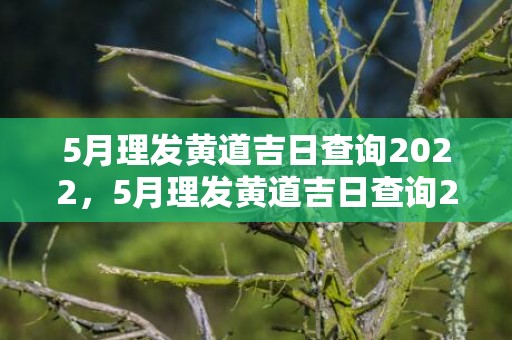 5月理发黄道吉日查询2022，5月理发黄道吉日查询2024