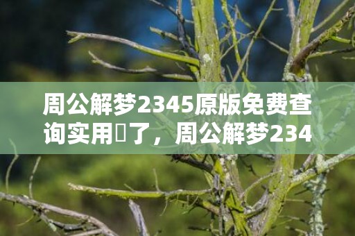 周公解梦2345原版免费查询实用丟了，周公解梦2345旧版原版