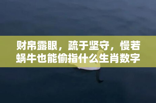 财帛露眼，疏于坚守，慢若蜗牛也能偷指什么生肖数字完美解释落实