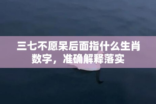 三七不愿呆后面指什么生肖数字，准确解释落实