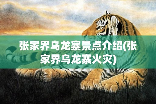 张家界乌龙寨景点介绍(张家界乌龙寨火灾)