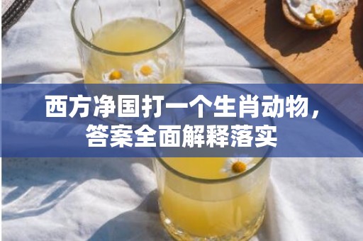 西方净国打一个生肖动物，答案全面解释落实