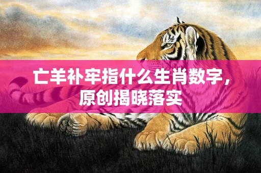 亡羊补牢指什么生肖数字，原创揭晓落实