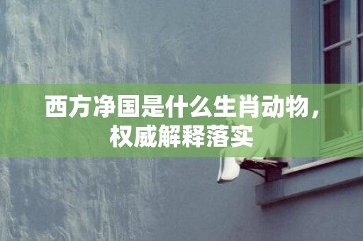 西方净国是什么生肖动物，权威解释落实