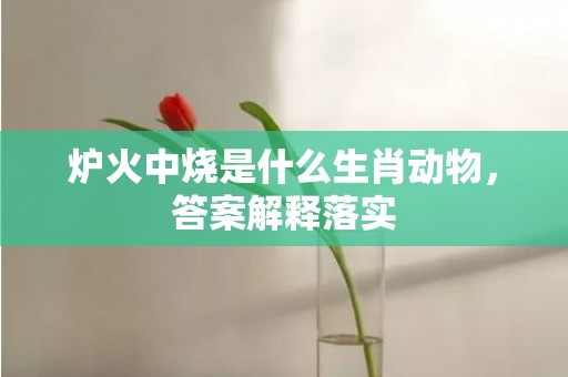 炉火中烧是什么生肖动物，答案解释落实