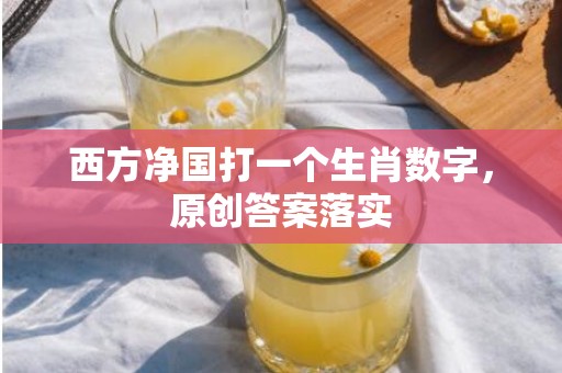 西方净国打一个生肖数字，原创答案落实