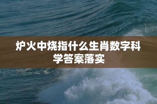 炉火中烧指什么生肖数字科学答案落实