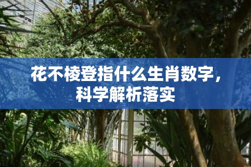 花不棱登指什么生肖数字，科学解析落实
