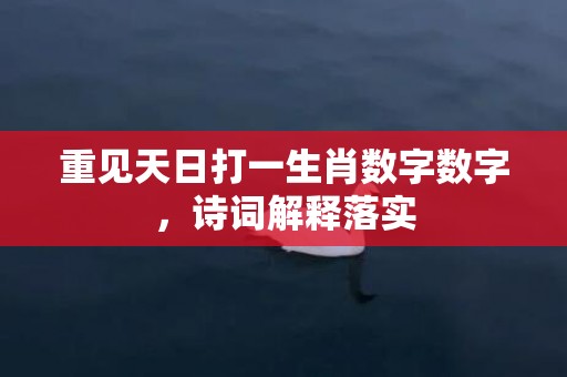 重见天日打一生肖数字数字，诗词解释落实