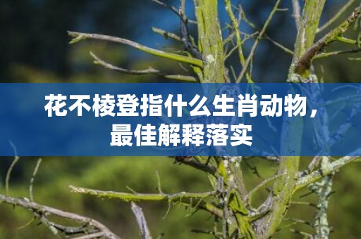 花不棱登指什么生肖动物，最佳解释落实