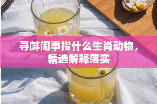 寻衅闹事指什么生肖动物，精选解释落实