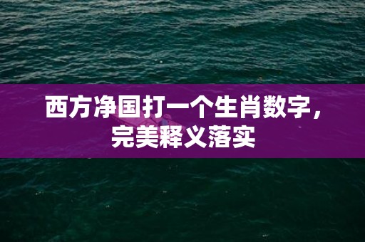 西方净国打一个生肖数字，完美释义落实