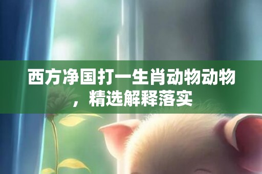 西方净国打一生肖动物动物，精选解释落实