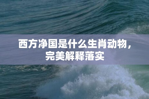 西方净国是什么生肖动物，完美解释落实