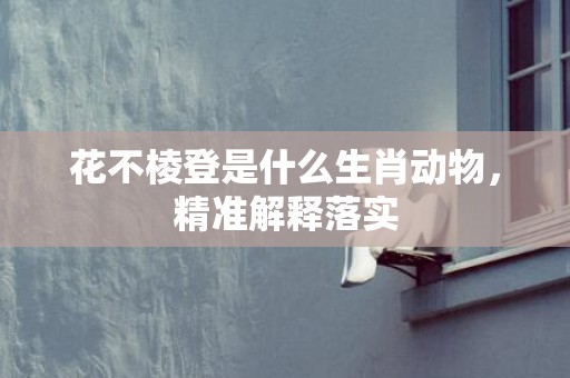 花不棱登是什么生肖动物，精准解释落实