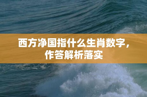 西方净国指什么生肖数字，作答解析落实
