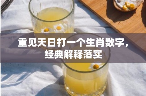 重见天日打一个生肖数字，经典解释落实