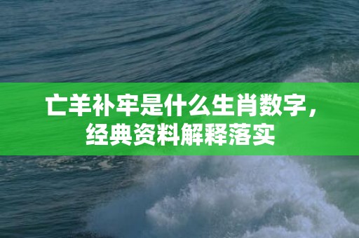 亡羊补牢是什么生肖数字，经典资料解释落实